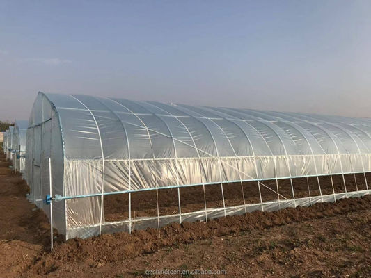 Invernadero pequeño de película de túnel para el cultivo de tomates de 6 a 10 m de ancho