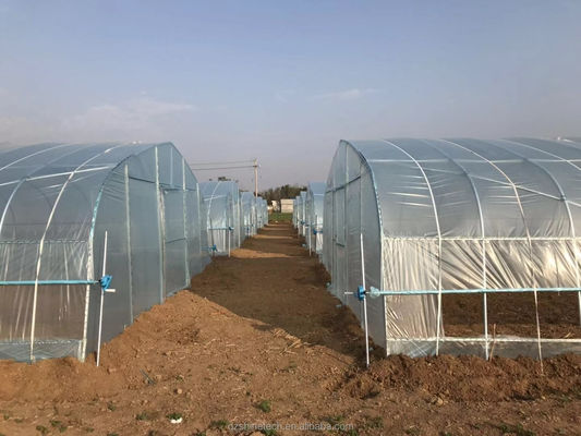 Invernadero pequeño de película de túnel para el cultivo de tomates de 6 a 10 m de ancho