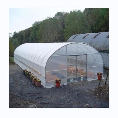 Invernadero agrícola hidropónico de tomate para un rendimiento mejorado en un solo diseño