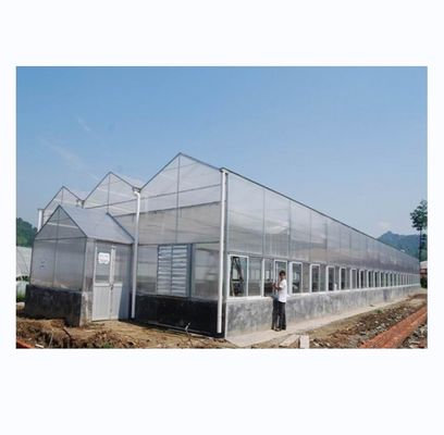 Invernaderos industriales de hoja de policarbonato ideales para el cultivo de verduras frutas flores