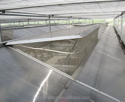 Invernaderos industriales de hoja de policarbonato ideales para el cultivo de verduras frutas flores