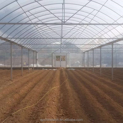 Invernadero chino para el cultivo de tomates