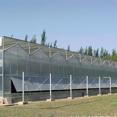 Invernaderos industriales de hoja de policarbonato ideales para el cultivo de verduras frutas flores