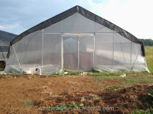 Invernadero agrícola hidropónico de tomate para un rendimiento mejorado en un solo diseño
