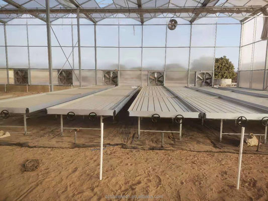 Invernaderos industriales de hoja de policarbonato ideales para el cultivo de verduras frutas flores