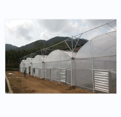 150/200 Invernadero con película de polipropileno de micro recubrimiento PE para el cultivo de tomates en la agricultura