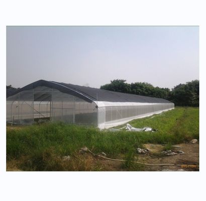 150/200micro Filtro de túnel alto Invernadero agrícola para el cultivo hidropónico de tomate