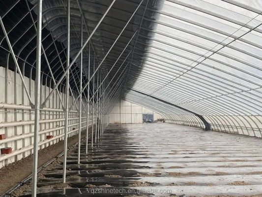 Invernadero solar pasivo pequeño de fácil montaje para agricultura sostenible a pequeña escala