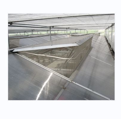 Invernaderos agrícolas prefabricados con láminas industriales de policarbonato y sistema de refrigeración