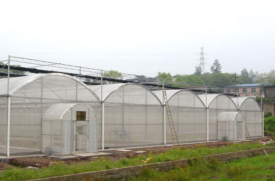 150/200 Invernadero con película de polipropileno de micro recubrimiento PE para el cultivo de tomates en la agricultura