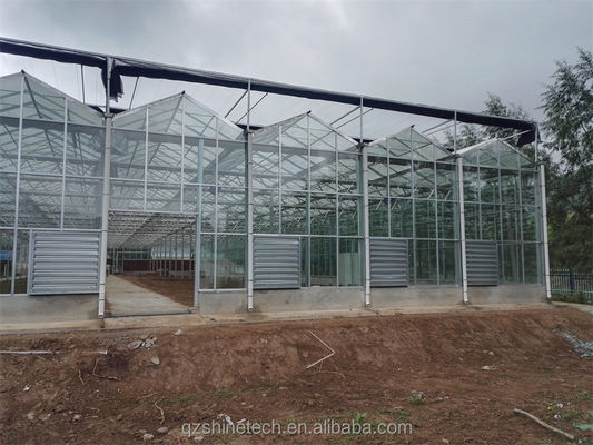 Invernadero de acero galvanizado cubierto de vidrio para la agricultura con dibujo de instalación