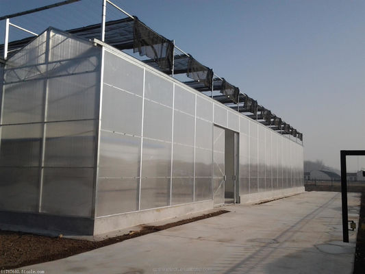 Invernaderos agrícolas prefabricados con láminas industriales de policarbonato y sistema de refrigeración