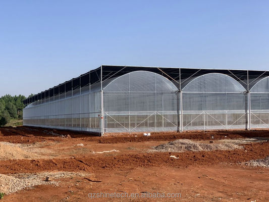 150/200 Invernadero con película de polipropileno de micro recubrimiento PE para el cultivo de tomates en la agricultura