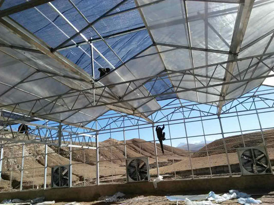 Invernaderos agrícolas prefabricados con láminas industriales de policarbonato y sistema de refrigeración