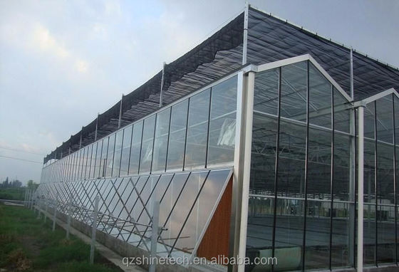 Invernadero de acero galvanizado cubierto de vidrio para la agricultura con dibujo de instalación