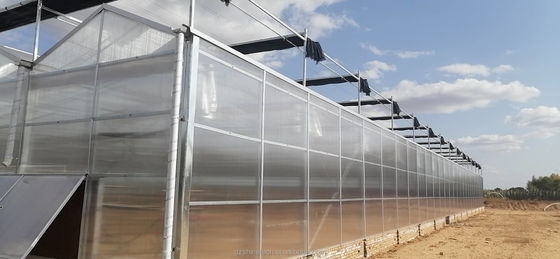 Invernaderos agrícolas prefabricados con láminas industriales de policarbonato y sistema de refrigeración