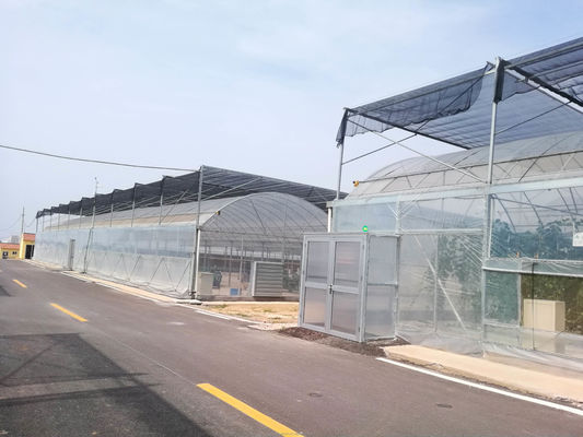 150/200 Invernadero con película de polipropileno de micro recubrimiento PE para el cultivo de tomates en la agricultura