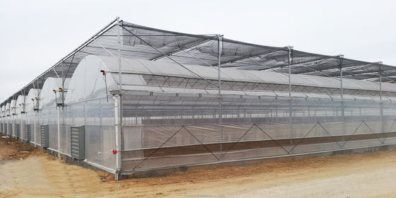 150/200 Invernadero con película de polipropileno de micro recubrimiento PE para el cultivo de tomates en la agricultura