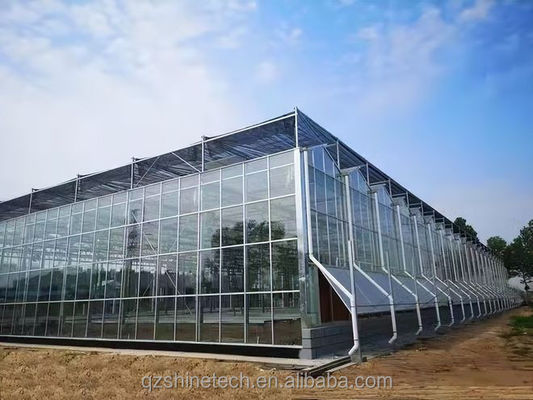 Invernadero de vidrio de venlo de resistencia súper fuerte para proyecto comercial agrícola llave en mano