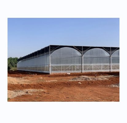 Invernadero inteligente para el cultivo de tomate Invernadero de película de múltiples estiramientos por Shine Tech