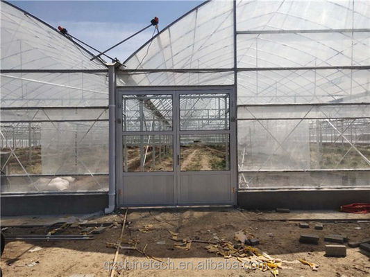Invernadero inteligente para el cultivo de tomate Invernadero de película de múltiples estiramientos por Shine Tech