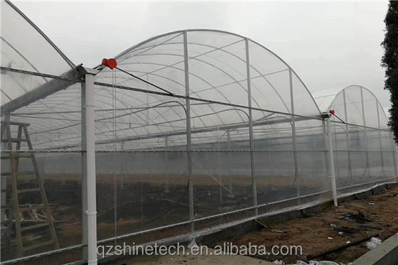 Invernadero inteligente para el cultivo de tomate Invernadero de película de múltiples estiramientos por Shine Tech