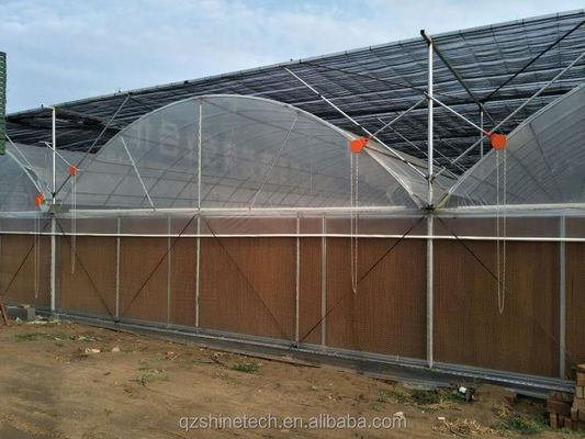 Invernadero inteligente para el cultivo de tomate Invernadero de película de múltiples estiramientos por Shine Tech