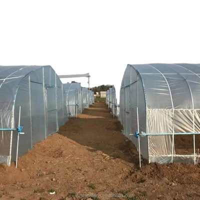 Invernadero agrícola de sola envergadura cubierto con película para el cultivo de cultivos hidropónicos