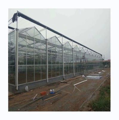 Equipo agrícola de invernaderos de vidrio de múltiples tramos para frutas, verduras y flores