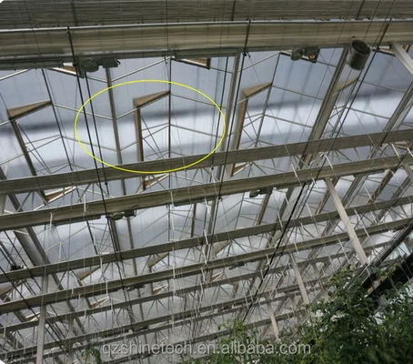 Equipo agrícola de invernaderos de vidrio de múltiples tramos para frutas, verduras y flores