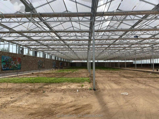 Invernaderos agrícolas de 8 mm de hoja de PC para una agricultura sostenible