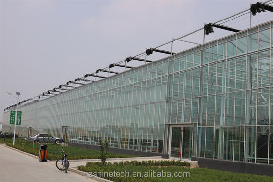 Sistemas de cultivo hidropónico NFT de cubierta de vidrio La solución definitiva para la agricultura vertical