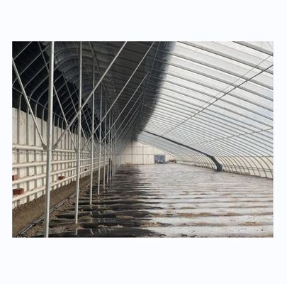 Invernaderos solares Invernaderos agrícolas cálidos con marco de acero galvanizado
