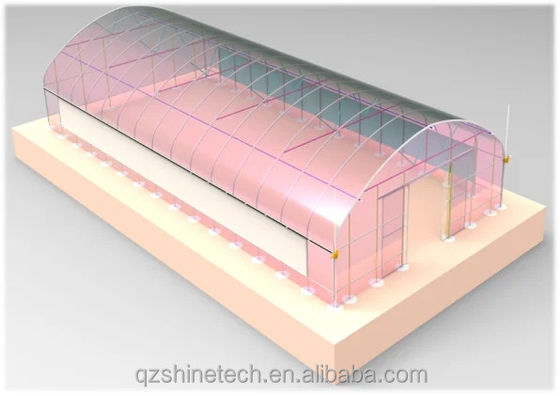 Capa de película 50x8m Tipo de túnel agrícola de sola envergadura Invernadero de 3,5-5M de altura