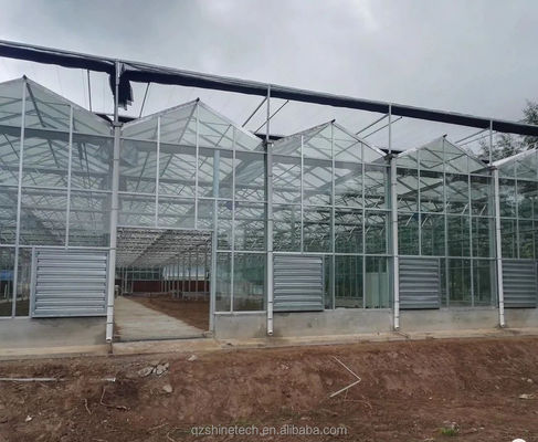 Sistemas de cultivo hidropónico NFT de cubierta de vidrio La solución definitiva para la agricultura vertical
