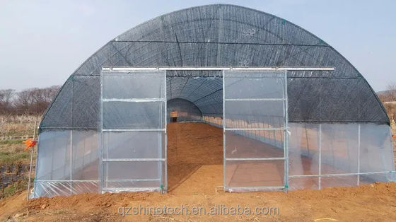 Capa de película 50x8m Tipo de túnel agrícola de sola envergadura Invernadero de 3,5-5M de altura