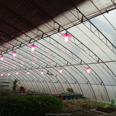 Invernaderos solares Invernaderos agrícolas cálidos con marco de acero galvanizado