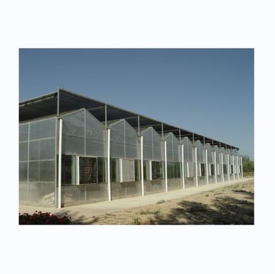 Invernadero para tomates con cobertura de policarbonato de 8 mm de resistencia súper fuerte
