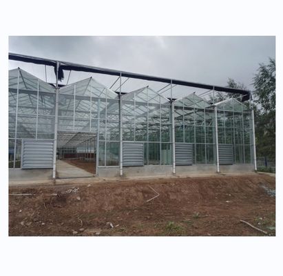 Invernadero agrícola cubierto de vidrio templado para el cultivo de verduras en Holanda