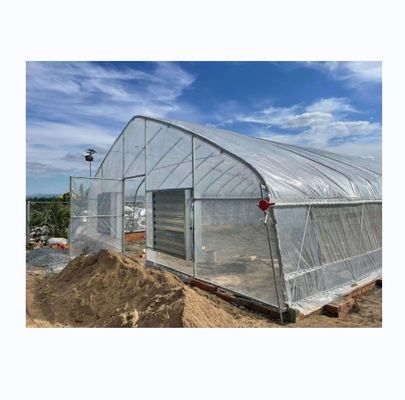 6m-10m de ancho monocapa de alta resistencia invernadero de túnel poli para la producción de tomate