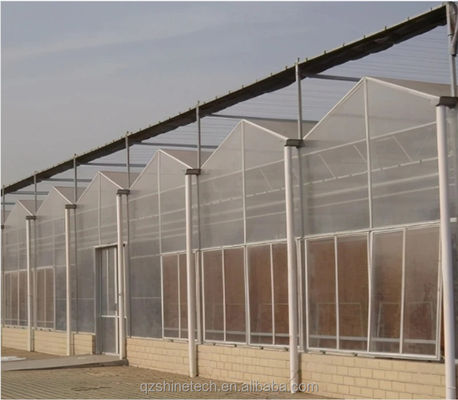 Hortalizas Frutas Flores Invernaderos agrícolas con sistemas hidropónicos