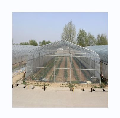 Invernadero de túnel de PE para el cultivo hidropónico de tomates Fácil montaje Largo 10-100m
