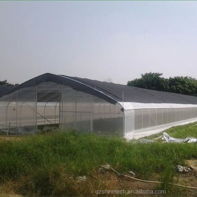 Invernadero de túnel de PE para el cultivo hidropónico de tomates Fácil montaje Largo 10-100m