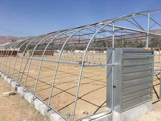 Invernadero de túnel de PE para el cultivo hidropónico de tomates Fácil montaje Largo 10-100m