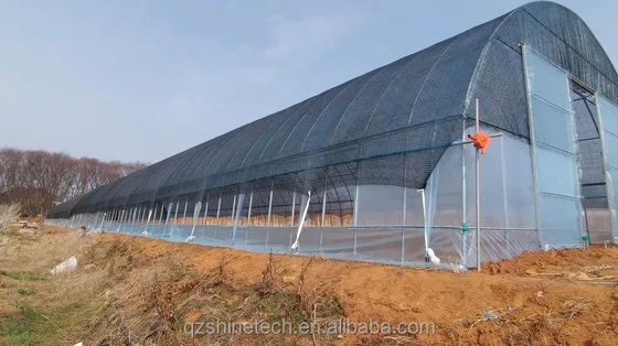 Invernadero de túnel de PE para el cultivo hidropónico de tomates Fácil montaje Largo 10-100m