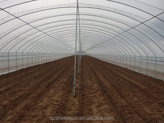 Invernadero de túnel de PE para el cultivo hidropónico de tomates Fácil montaje Largo 10-100m