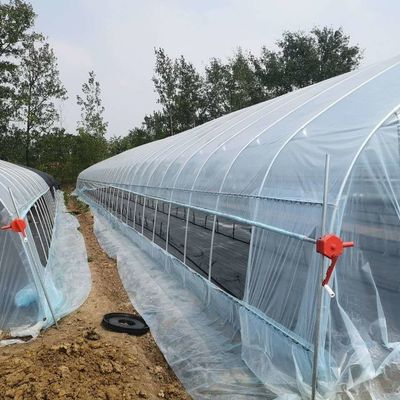 Invernadero de túnel de PE para el cultivo hidropónico de tomates Fácil montaje Largo 10-100m