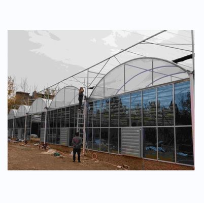 Cuadro de tubos de acero galvanizado en caliente