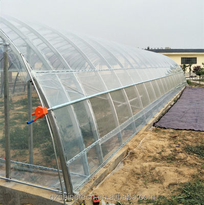Invernadero pequeño de película de plástico PE de sola envergadura para la agricultura de vegetales 10-100m de longitud