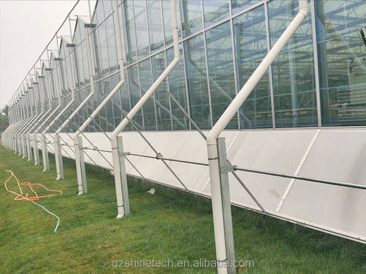 Gran invernadero agrícola inteligente holandés vidrio para tomates pepino lechuga